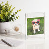 Acrylic Photo Frame in Small with photo on a white background.