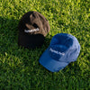 Thinking Cap in Black and Blue on grass.