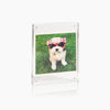 Acrylic Photo Frame in Large with photo on a white background. 